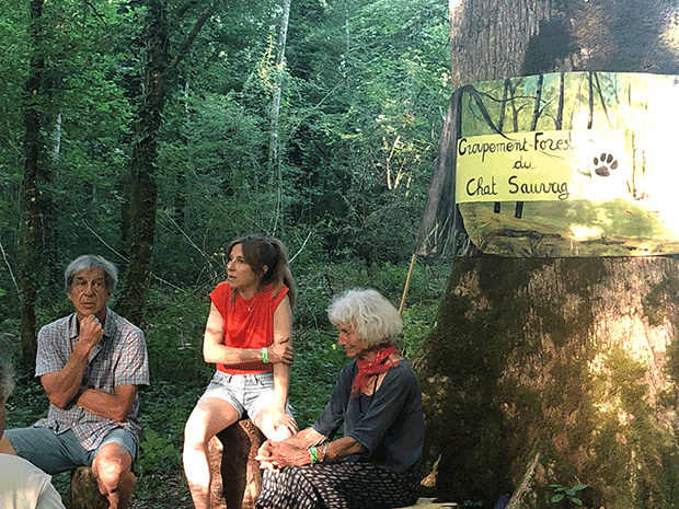 Qu-est-ce-qu-un-groupement-forestier---Le-Chat-sauvage---2025---Saint-Vit---Photo-de-Lionel-Viard