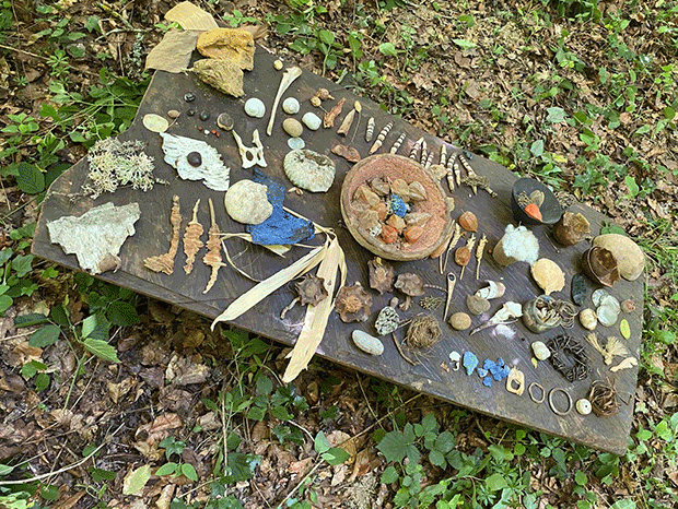 Reveries-forestieres---Polska---2025---Saint-Vit---Photo-de-Camille-Conrad-Rasseneur